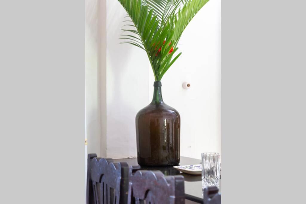 Villa Barbosa, 2 Bhk Villa & Luxury Rooms Near Colva, Sernabatim, Benaulim Beach Exteriér fotografie